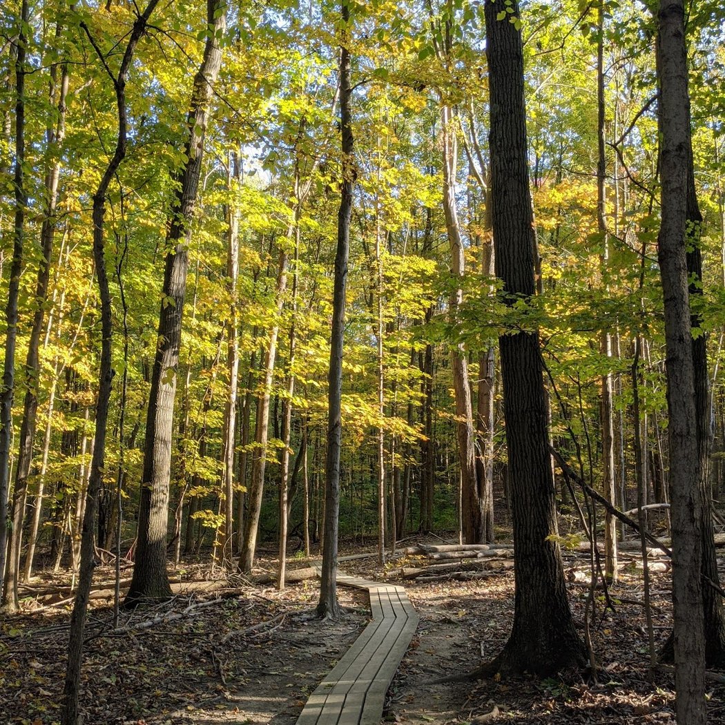 Liberty Park 3